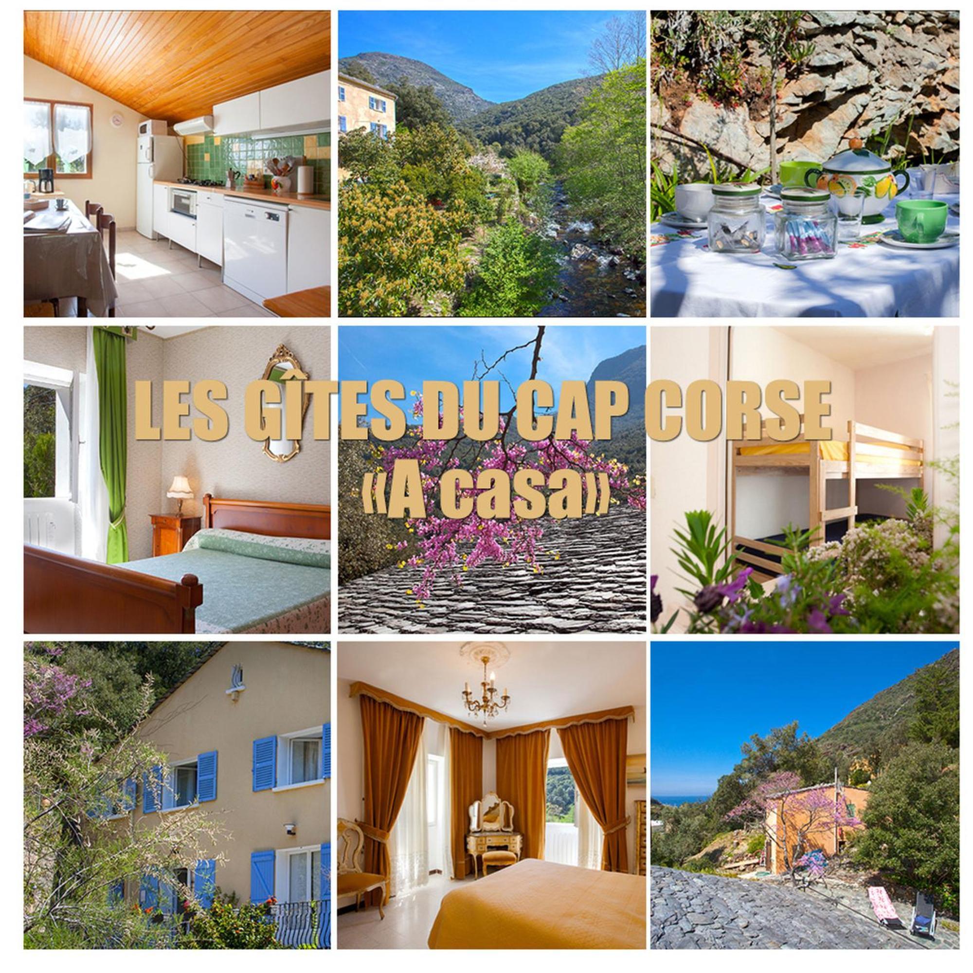 Les Gites Du Cap Corse Nonza Exteriér fotografie