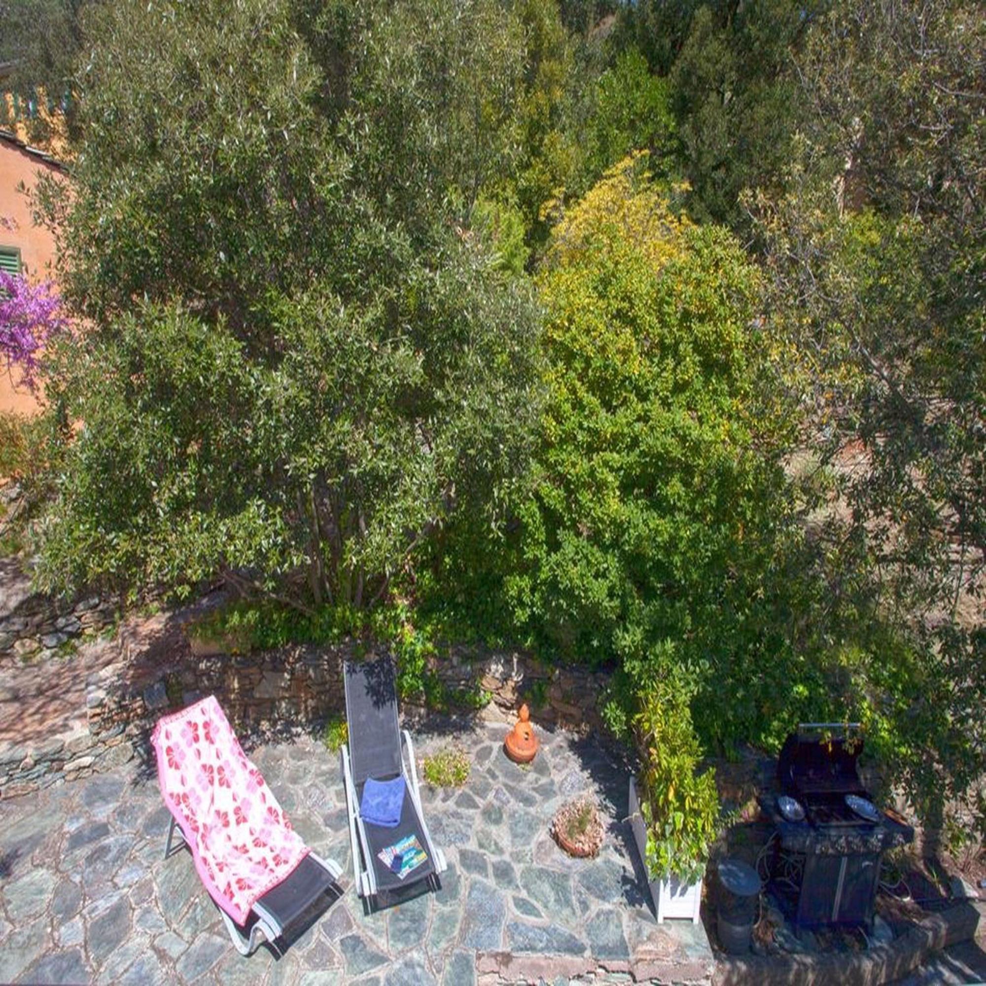Les Gites Du Cap Corse Nonza Pokoj fotografie